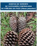 Hortos de semente de categoría controlada de piñeiro do país (Pinus pinaster)