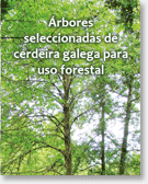 Árbores seleccionadas de cerdeira galega para uso forestal