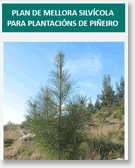 Plan de mellora silvícola para plantacións de Piñeiro 
