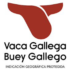 Vaca Gallega – Buey Gallego