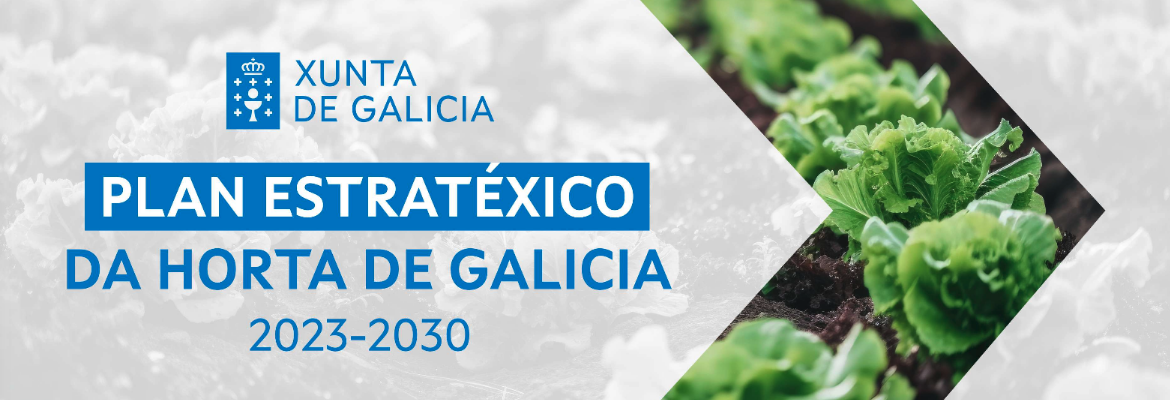 Plan estratéxico da horta de Galicia 2023-2030